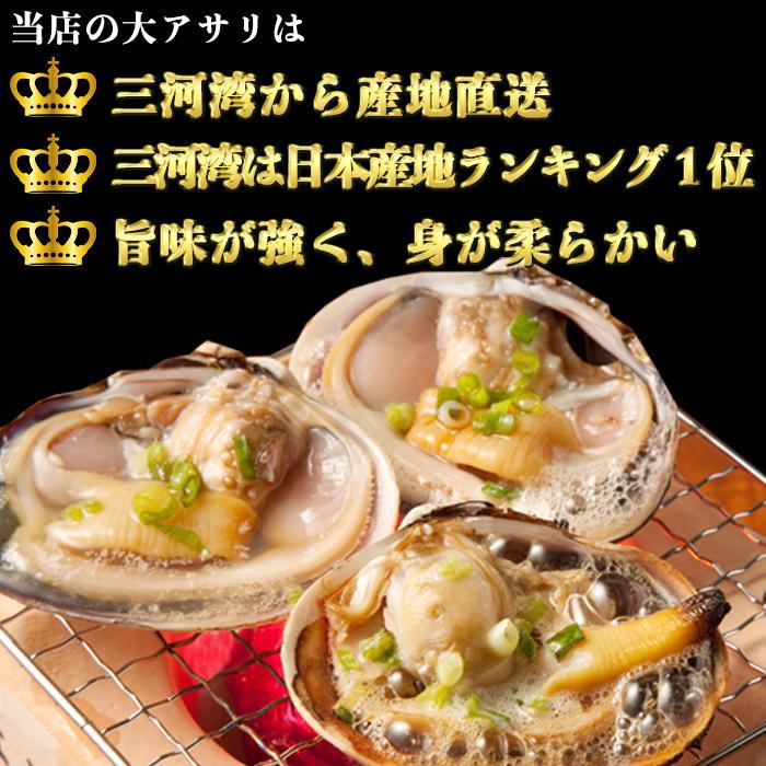 大アサリ バーベキューセット 大あさり 冷凍 下処理済み タレ付き（送料無料）（愛知県産）