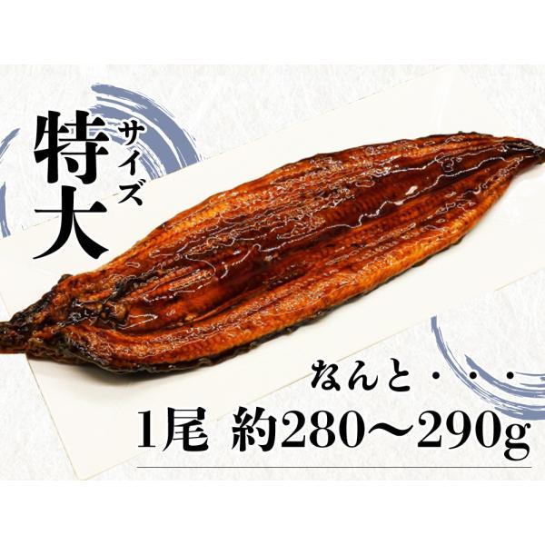 うなぎ蒲焼 鰻蒲焼 2尾 送料無料 特大サイズ 蒲焼 土用の丑の日 うなぎ ウナギ 鰻 中国産 メーカー直送 shr-021