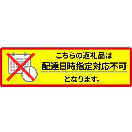 ふるさと納税 先行予約 2024年4月から配送 北海道湧別町 塩水生うに 100g×2 ウニ 北海道湧別町