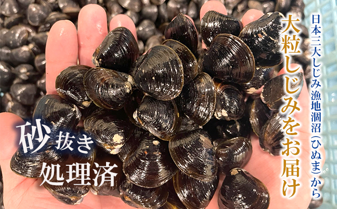 涸沼産 大粒 冷凍 シジミ 1.5kg 干物 3点セット （サバ ホッケ 目光） しじみ 蜆 大和しじみ ヤマトシジミ 大玉 砂抜き済 冷凍 味噌汁 スープ 魚貝類 貝 オルニチン コハク酸 サバ ホッケ 目光 小分け