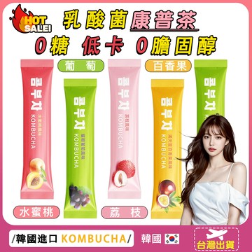 【現貨熱賣 】KOMBUCHA 康普茶(4種口味) 酵素飲 콤부차 乳酸菌 水蜜桃 0糖 葡萄 低卡 百香果 荔枝
