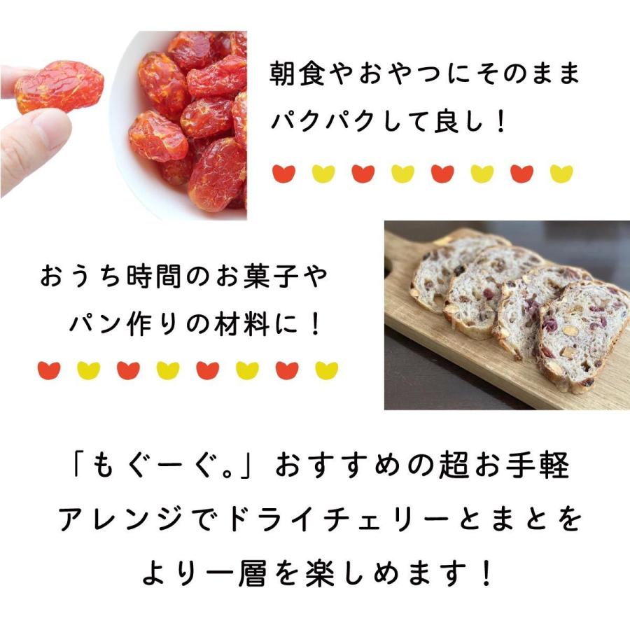 友口 魅惑のチェリーとまと  400g トマト フルーツ ドライフルーツ 乾燥 メール便 送料無料 チャック リコピン ドライトマト モグーグ