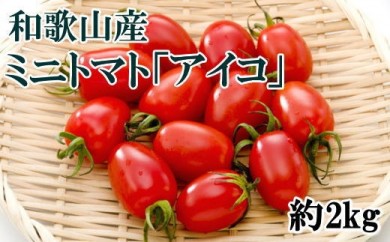 和歌山産ミニトマト「アイコトマト」約2kg（S・Mサイズおまかせ） ※2024年2月上旬～下旬に順次発送予定 ※北海道、沖縄、離島への配送不可