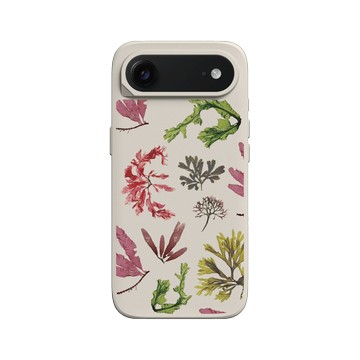 iPhone Air SolidX 貝殼灰 - The Seaweed Studio - 海之拓印