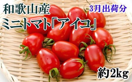 トマト 3月 先行予約 野菜    和歌山産ミニトマト「アイコトマト」約2kg（S・Mサイズおまかせ）