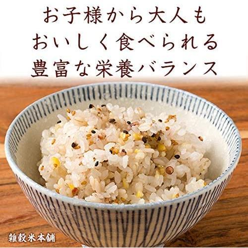 雑穀米本舗 ヘルシーブレンド 1kg(500g×2袋)