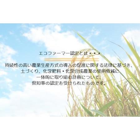 ふるさと納税 ＼令和5年産 新米／ 東庄町産コシヒカリ　玄米10kg 千葉県東庄町