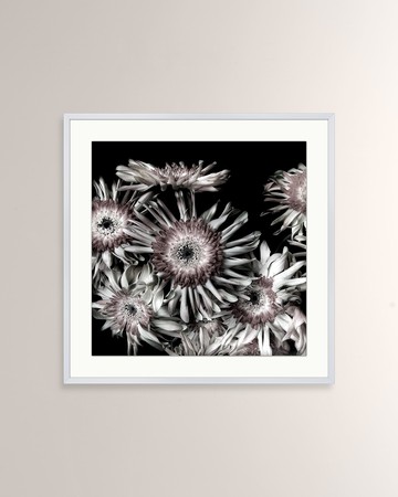 "Floral on Black 1" Giclee Print