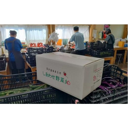 ふるさと納税 静岡県 掛川市 １７２５　於愛の方 ふるさとの味 有機野菜 有機茶 お米のセット １回便 しあわせ野菜畑