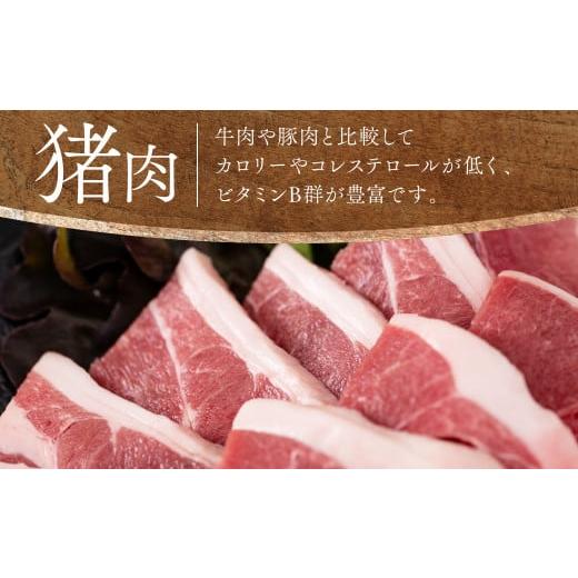 ふるさと納税 熊本県 八代市 自然のめぐみ 猪肉 500g 鹿肉 500g 合計1kg ジビエ