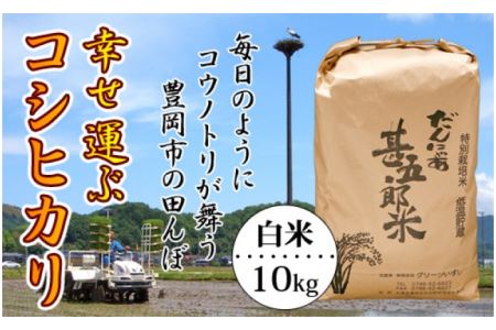 幸せ運ぶ コシヒカリ（白米）10kg