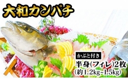 「大和カンパチ」　半身（フィレ）約1.2kg～1.5kg×2枚　かぶと付き　D063