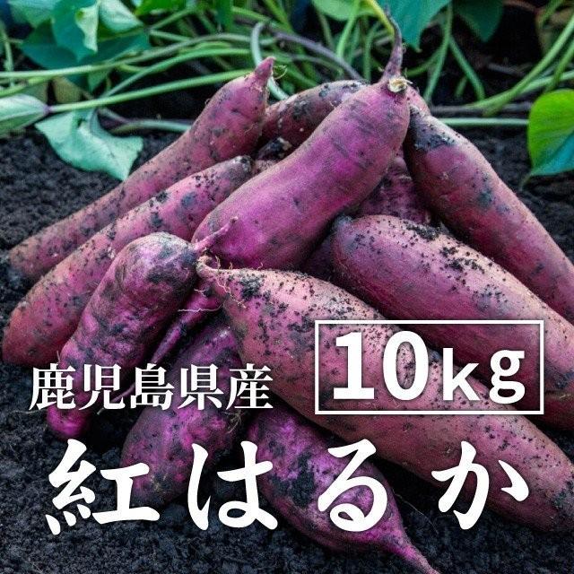 さつまいも 紅はるか 10kg （土付き・大小サイズ混在） 2023年産長期熟成 鹿児島県産 べにはるか