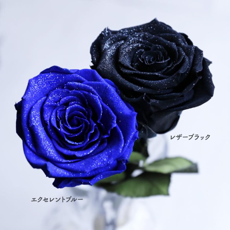 Makefuture Diamond Rose 2022 プリザーブドフラワー 花 誕生日 一輪