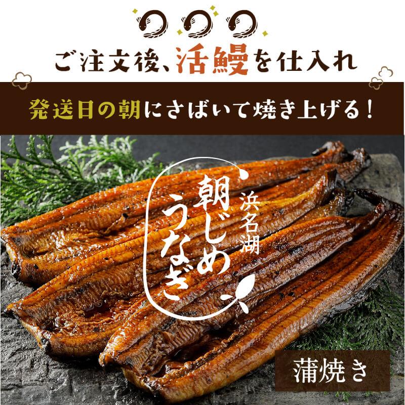 お中元 プレゼント うなぎ 国産 特大 朝じめ 特選 鰻 蒲焼き 1尾 送料無料 ギフト 60代 70代 80代