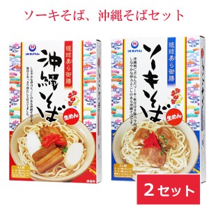 ソーキそば 沖縄そば 各2個セット 琉球美ら御膳 オキハム 沖縄料理 郷土料理