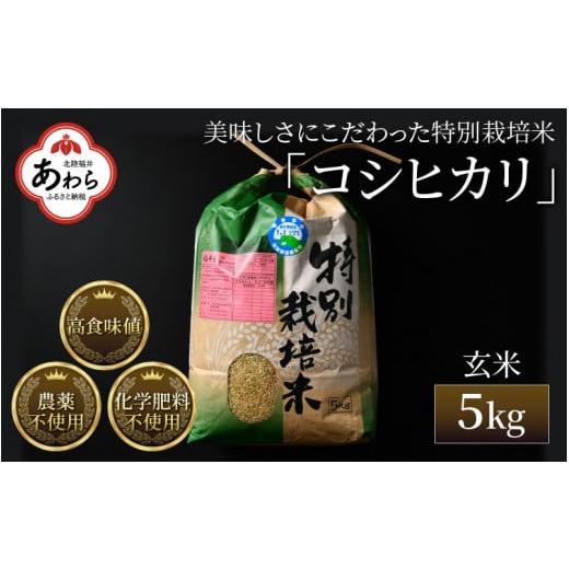 ふるさと納税 福井県 あわら市 コシヒカリ 玄米 5kg 特別栽培米 農薬不使用 化学肥料不使用 ／ 高品質 鮮度抜群 福井県産 ブランド米