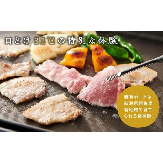 ふるさと納税 新潟県 十日町市 妻有ポーク焼き肉2種セット