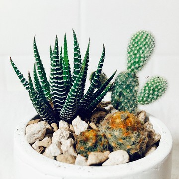 純粹系列-圓形泥盆/質感白