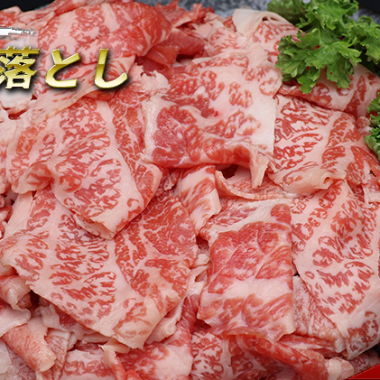 飛騨牛 牛肉 切り落とし 500g×4 計2kg A5 和牛