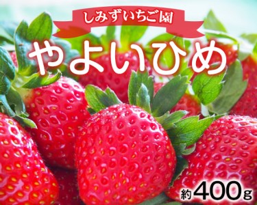 No.347 群馬県産いちご「やよいひめ」約400g　贈答用化粧箱入り