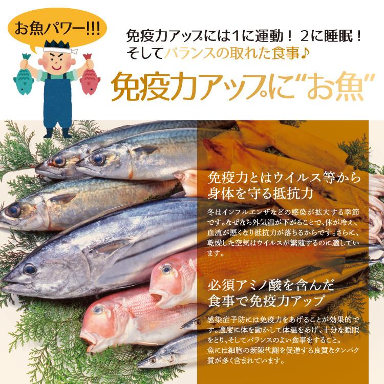 お歳暮 [夢] 焼き干物 風呂敷包みセット ５種 時短料理に最適♪お歳暮 ギフトも♪