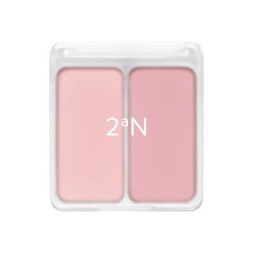 2aN摩登雙色腮紅#06粉色花瓣 4.5g * 2