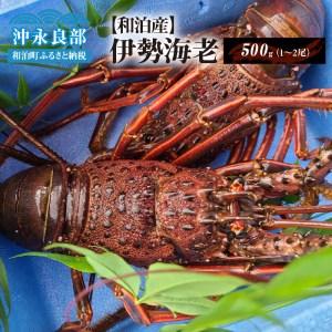 ふるさと納税 活き〆冷凍　天然伊勢海老500g（1〜2尾） 鹿児島県和泊町