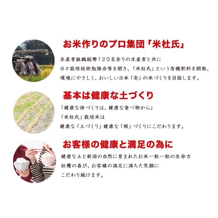 新潟 お米 食べ比べセット  新米 令和５年産 新之助 5kg 新潟県産 ミルキークイーン 5kg × ２ 白米 精米 米 10kg 精米仕立て低 温倉庫管理米