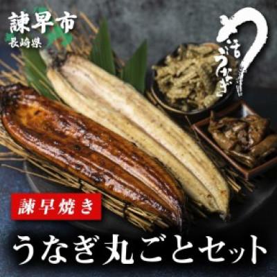 ふるさと納税 諫早市 うなぎ まるごとセット