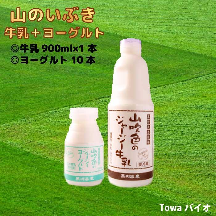 山のいぶき｜牛乳＆ヨーグルトセット｜熊本阿蘇、小国町・高村武志牧場｜黒川温泉｜ゴールデンミルク｜