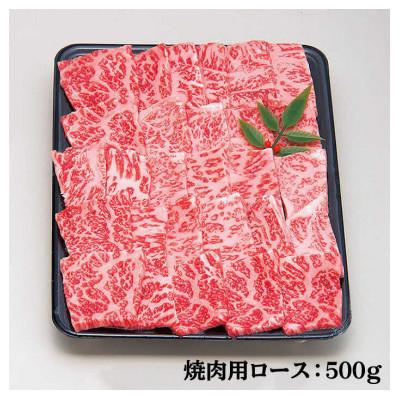 ふるさと納税 壱岐市 壱岐牛ロース焼肉　500g×1パック