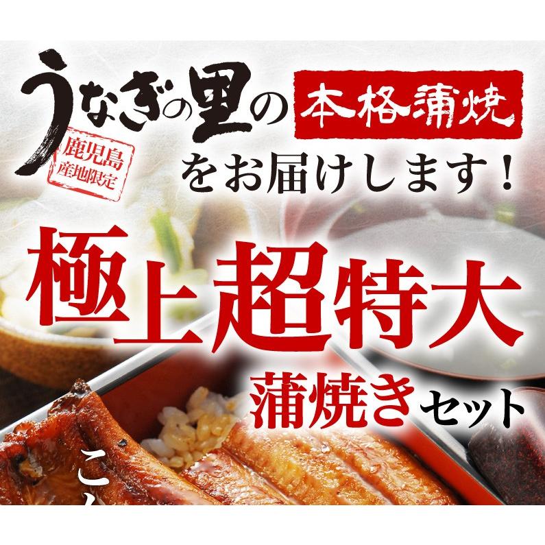 ポイント5倍 母の日 プレゼント グルメ うなぎ 鹿児島産 ブランド鰻 超特大蒲焼き2本 ギフトBOX お洒落な専用ギフトBOXでお届け クール