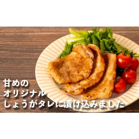 ふるさと納税 生姜焼き 豚ロース 豚肉 計 1kg 冷凍 お手軽 200g 5袋 しょうが焼き 惣菜 おかず （ 生姜焼き 豚ロース生姜焼き 豚肉お惣菜 簡単調.. 静岡県沼津市