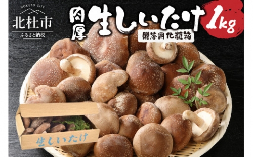 贈答用 生しいたけ(1kg)