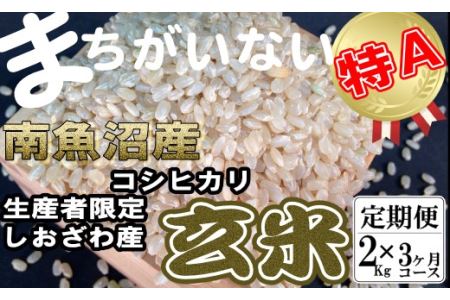 玄米 生産者限定 南魚沼しおざわ産コシヒカリ2Kg×3ヶ月