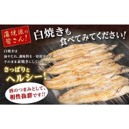 ふるさと納税 鹿児島県産うなぎ長蒲焼 白焼き・蒲焼セット 合計2尾 鹿児島県大崎町