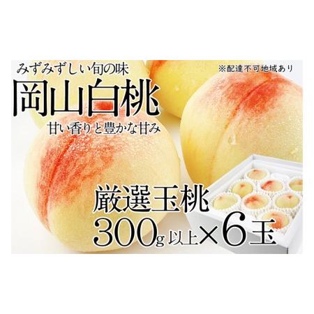 ふるさと納税 桃 2024年 先行予約 岡山の白桃 300g以上×6玉 白桃 旬 みずみずしい 晴れの国 おかやま 岡山県産 フルーツ王国 果物王国 岡山県玉野市