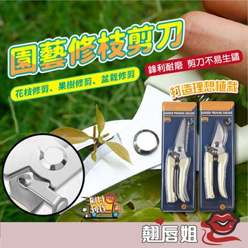 挑戰最超值  不銹鋼樹枝剪 修枝剪 樹技剪 摘水果花木剪 園林果樹花枝嫁接 園藝剪刀 修剪工具 修枝剪 園藝剪刀
