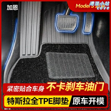 【專車專用】特斯拉腳墊 Model3腳墊 汽車腳墊 車墊 地墊 地毯 全包圍腳墊 TPE環保材質 貼合車身 防水防滑 專用於副駕駛位