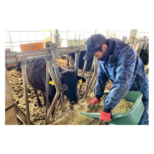 ふるさと納税 岡山県 新見市 国産 黒毛和牛 経産牛 牛肉すじ(約1.2kg)