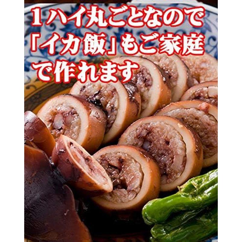 ますよね 日本海産 お刺身用 するめいか（真イカ） スルメイカ 7ハイ(1.5kg前後)