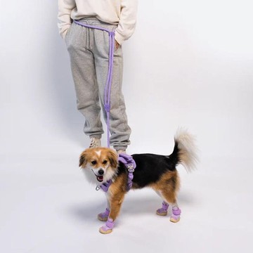 RIFRUF-夜間反光多用途牽繩-薰衣紫