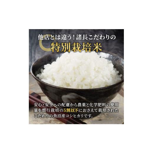 ふるさと納税 新潟県 魚沼市 [No.5762-0702]『お米アドバイザー厳選！』魚沼産コシヒカリ　特別栽培米　精米15kg（5kg×3袋）