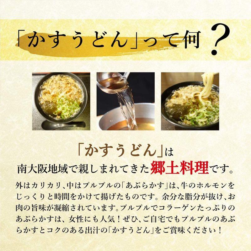 食品 てんてん かすうどん 油かす (5食セット)