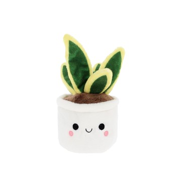 Keel Plant Bobballs Snake Plant 虎尾蘭盆栽12cm