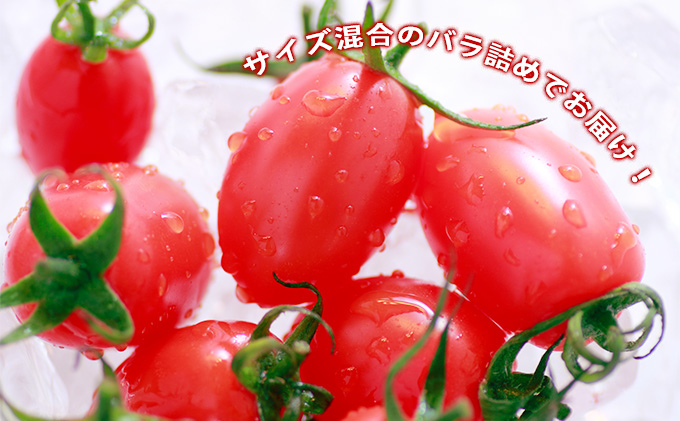 ◆2024年8月より順次出荷◆北海道 伊達 岡本園芸 ミニトマト 高糖度 約2kg