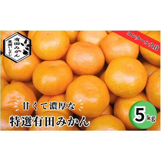 ふるさと納税 和歌山県 広川町 特選有田みかん  5kg サイズ混合 ※11月より順次発送予定 ※着日指定不可