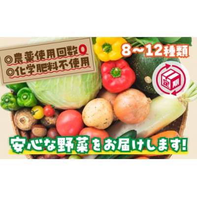 安心お野菜定期便(12回コース) A-086