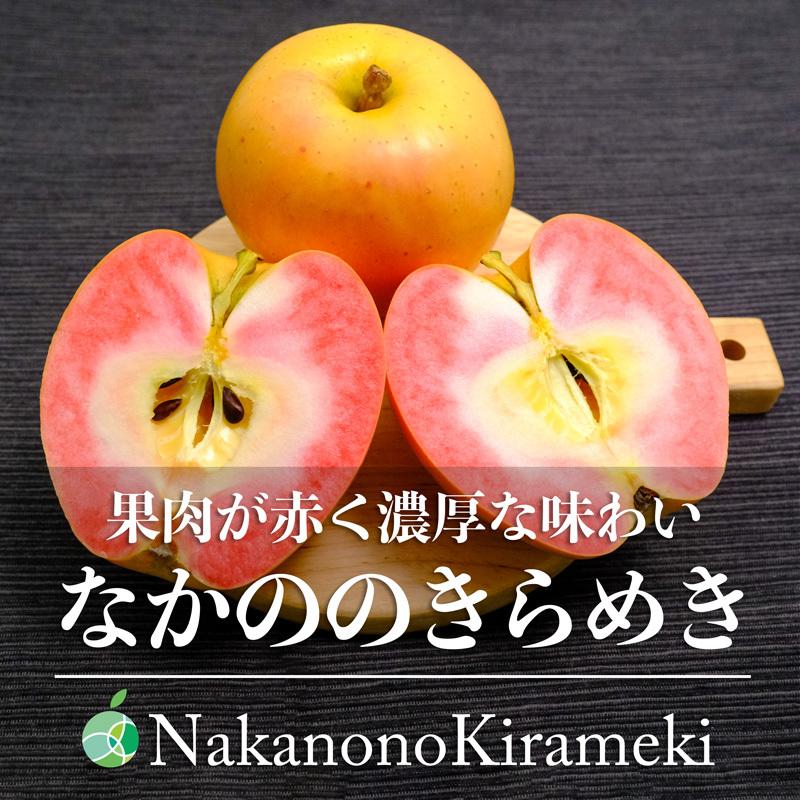 なかののきらめき　りんご　贈答用　約1.5kg　4〜7玉　長野県中野市産